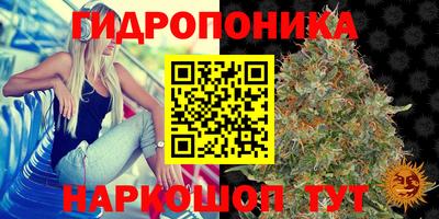 бошки Севастополь